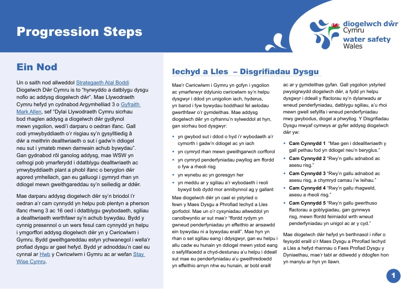 Progression pathway - Welsh_page1