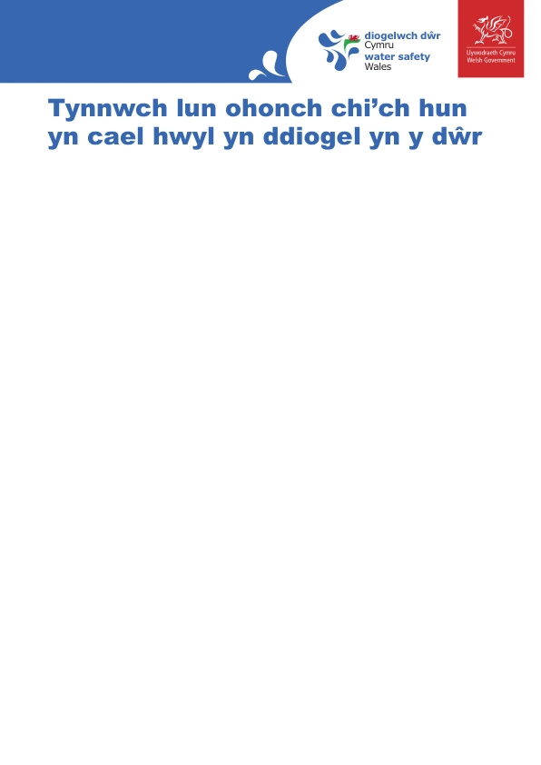 Progression Step 1 - Extension Activity -  Draw a picture - Welsh_page1